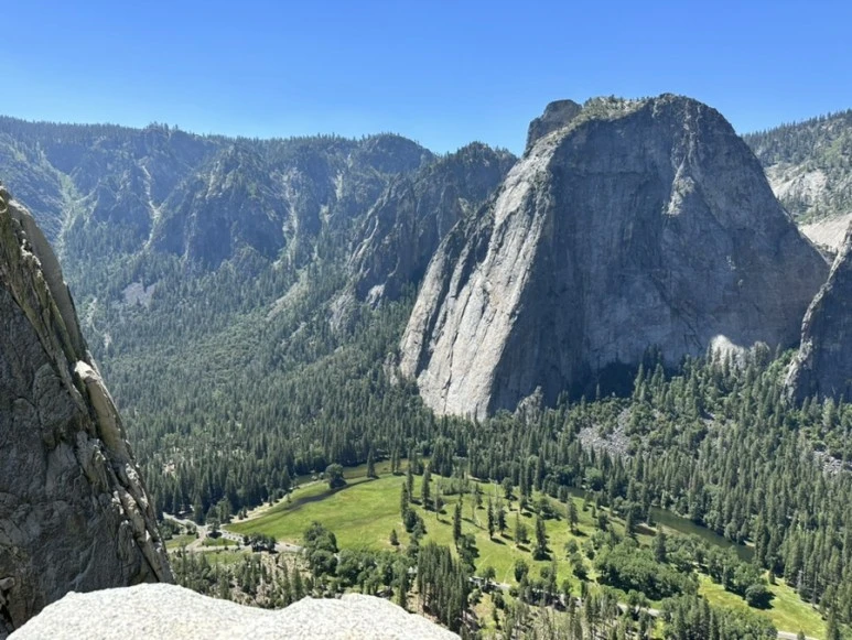 IMG_1674.jpg?type=w773