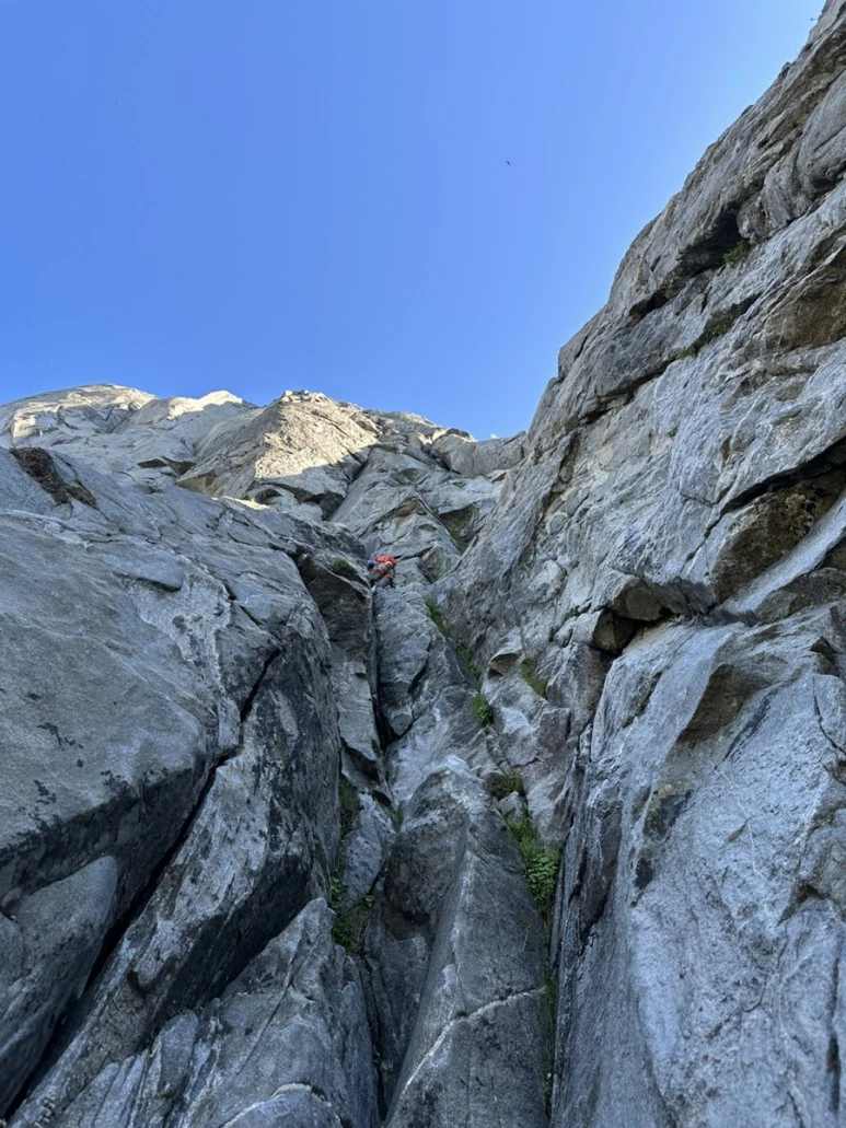 IMG_1047.jpg?type=w773