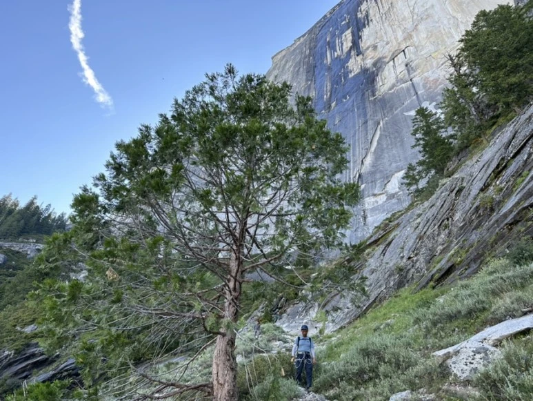 IMG_1309.jpg?type=w773