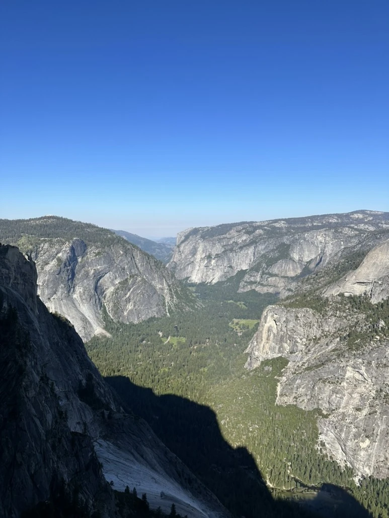 IMG_1246.jpg?type=w773