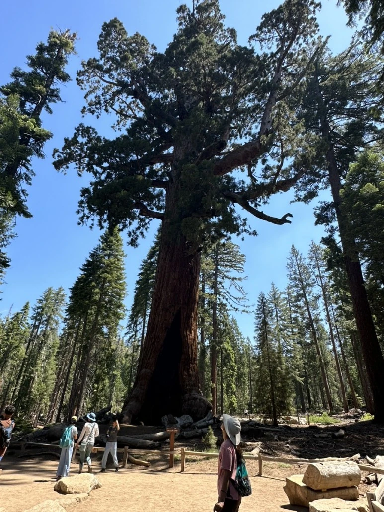 IMG_1464.jpg?type=w773