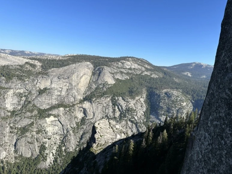 IMG_1241.jpg?type=w773