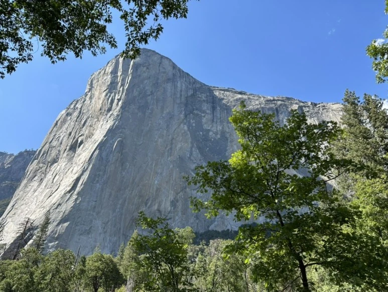 IMG_1129.jpg?type=w773