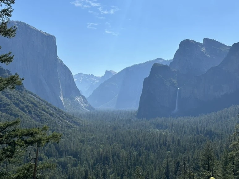 IMG_1392.jpg?type=w773