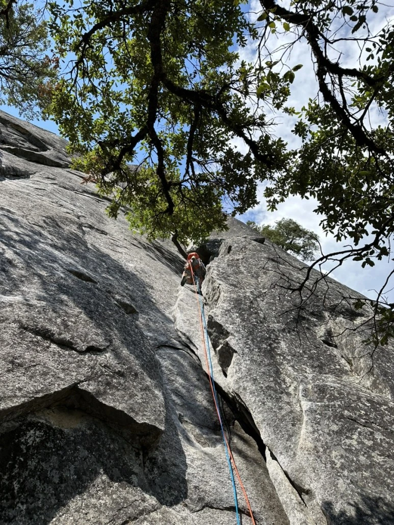 IMG_0929.jpg?type=w773