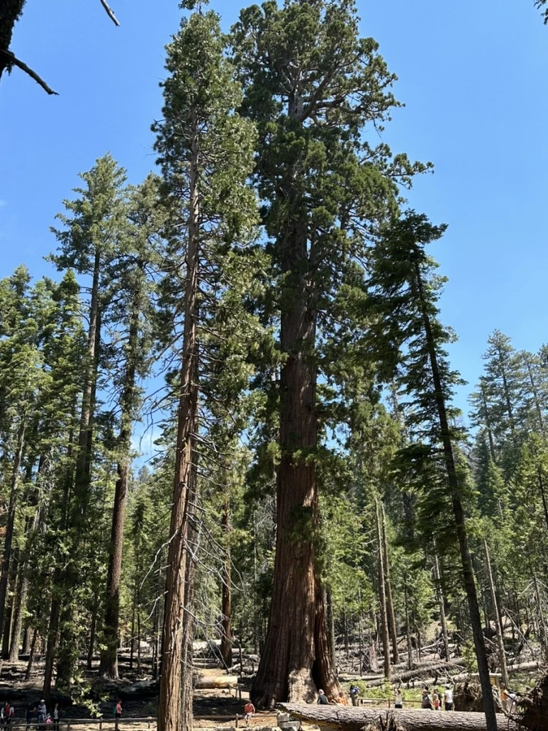 IMG_1478.jpg?type=w773