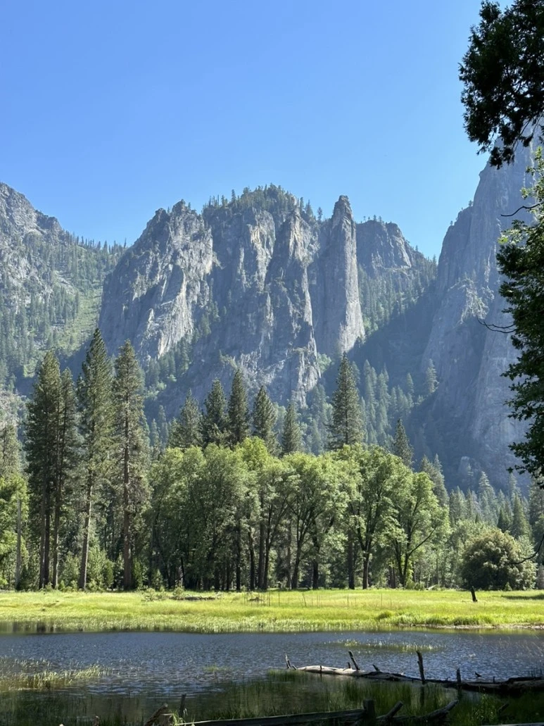 IMG_1124.jpg?type=w773