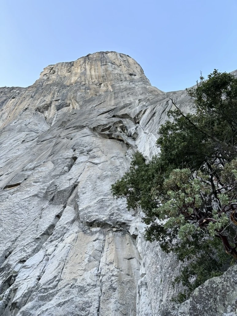 IMG_1643.jpg?type=w773