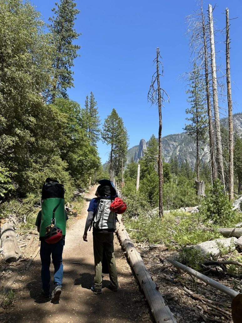 IMG_1696.jpg?type=w773