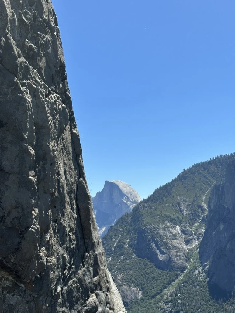 IMG_1072.jpg?type=w773