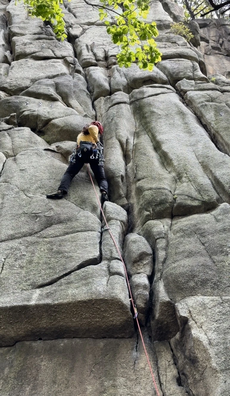 IMG_8930.jpg?type=w773