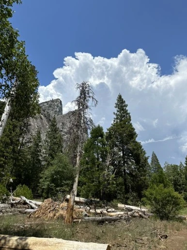 IMG_0917.jpg?type=w386