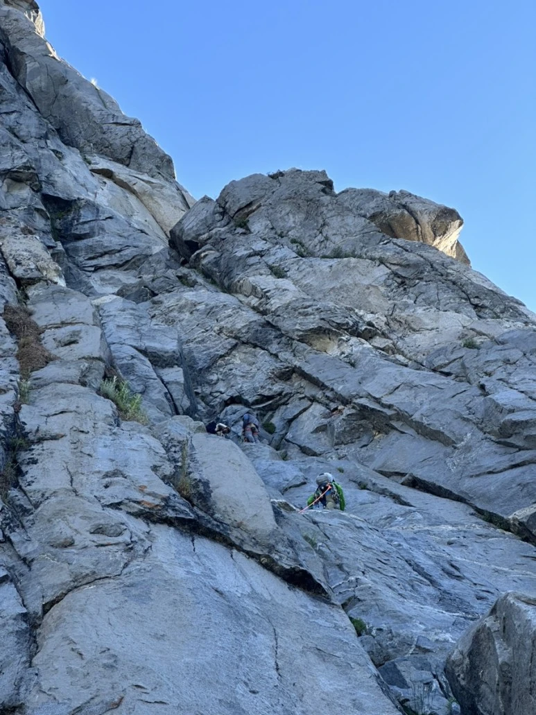 IMG_1040.jpg?type=w773