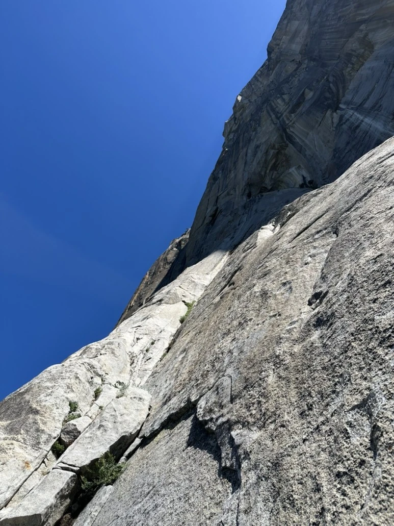 IMG_1671.jpg?type=w773