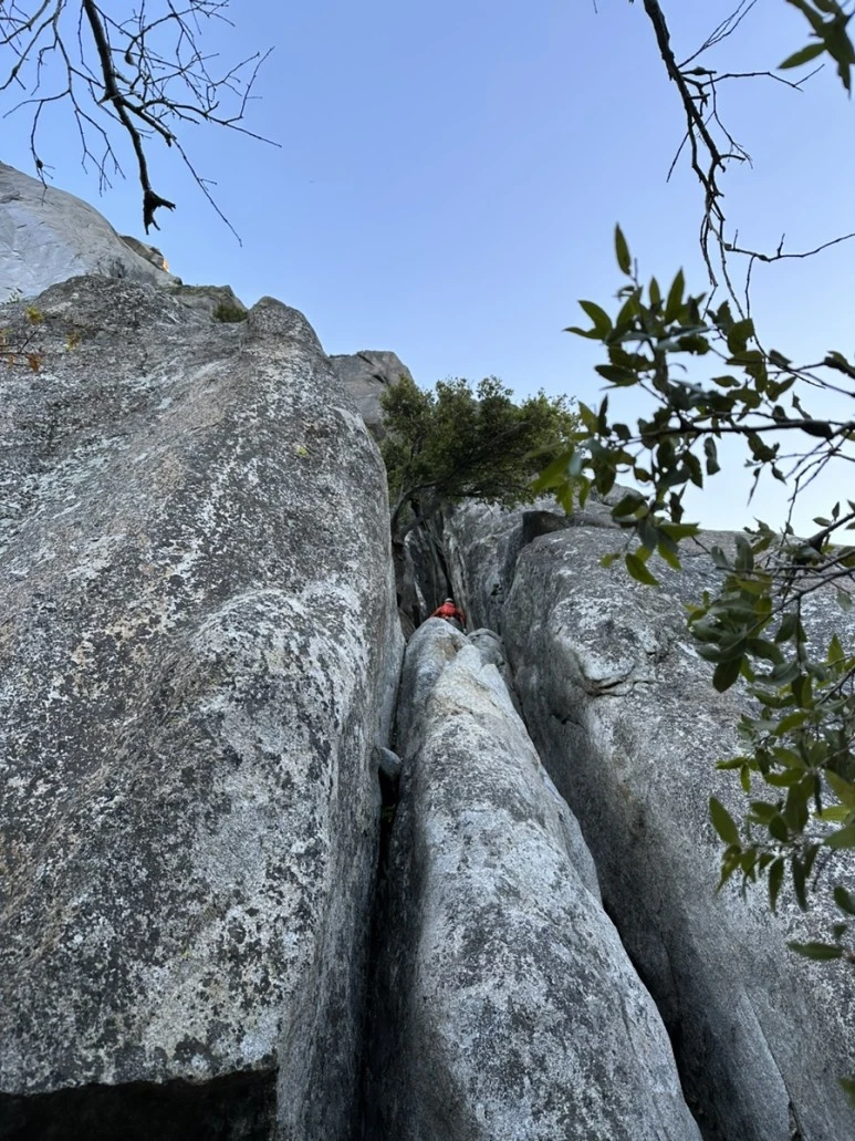 IMG_1021.jpg?type=w773