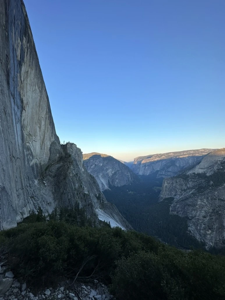 IMG_1302.jpg?type=w773