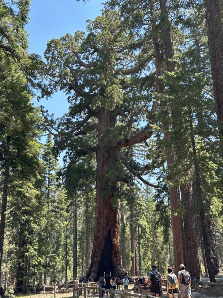 IMG_1461.jpg?type=w773