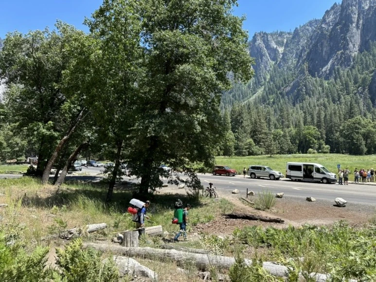 IMG_1698.jpg?type=w773