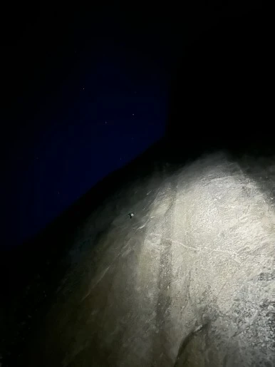 IMG_1003.jpg?type=w386