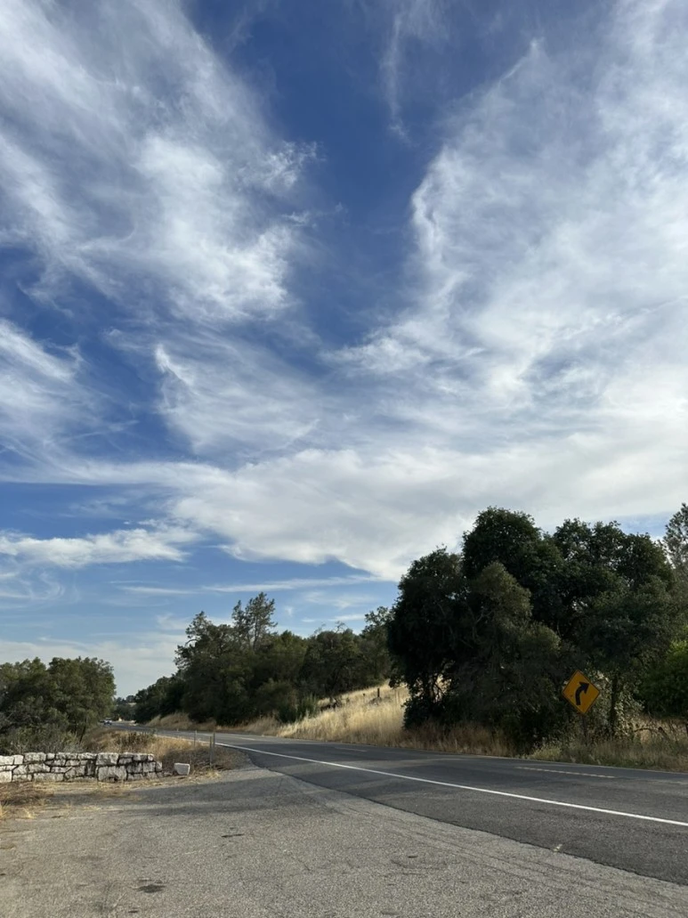 IMG_0749.jpg?type=w773