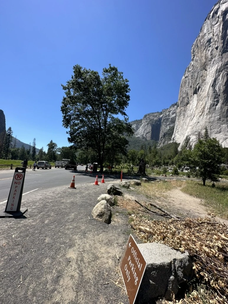 IMG_1701.jpg?type=w773