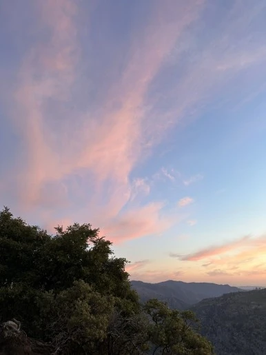 IMG_0798.jpg?type=w386