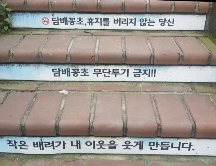 1700731365869.jpg?type=w1