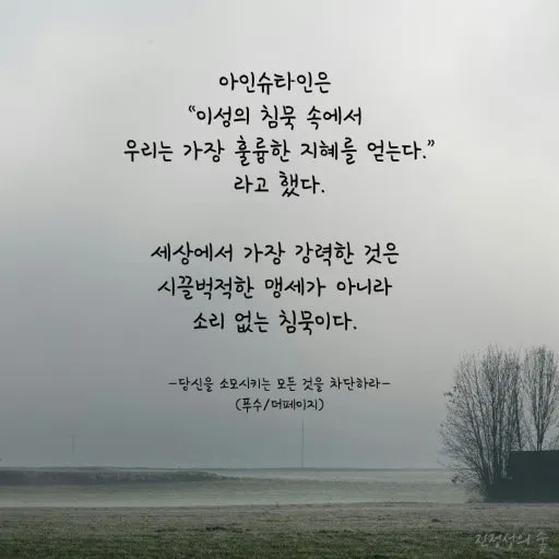 ?src=http%3A%2F%2Ft1.daumcdn.net%2Fbrunch%2Fservice%2Fuser%2F1blS%2Fimage%2F_SNCuDxuQZIMX2H2rBJRJrYG6gQ&type=sc960_832