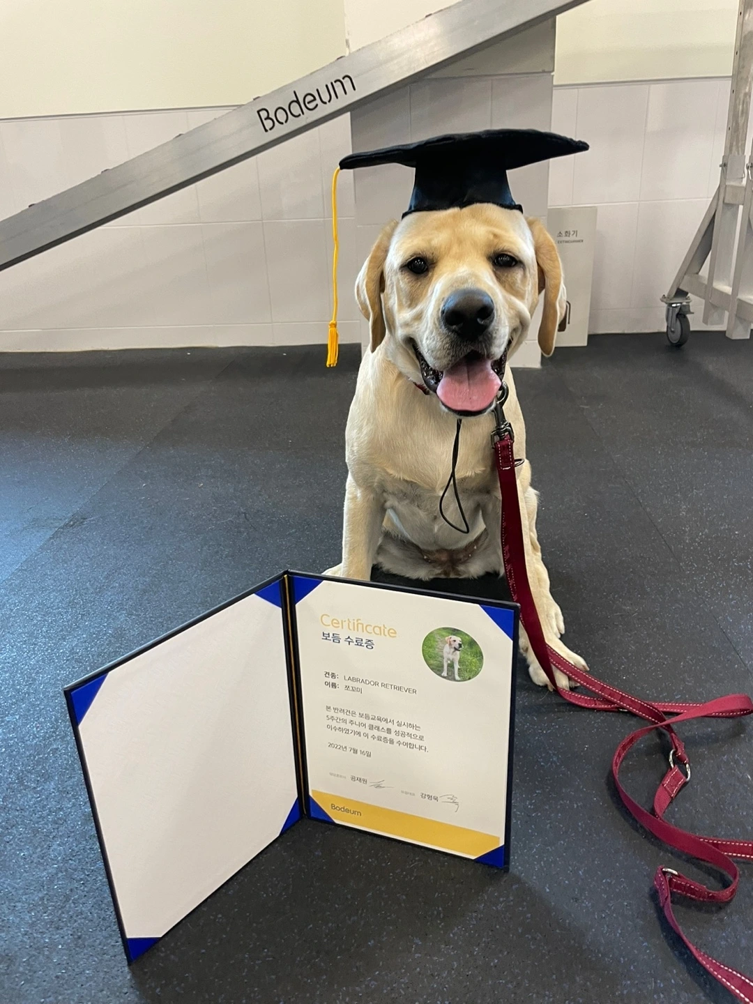 KakaoTalk_Photo_2023-06-19-16-55-35 006.jpeg