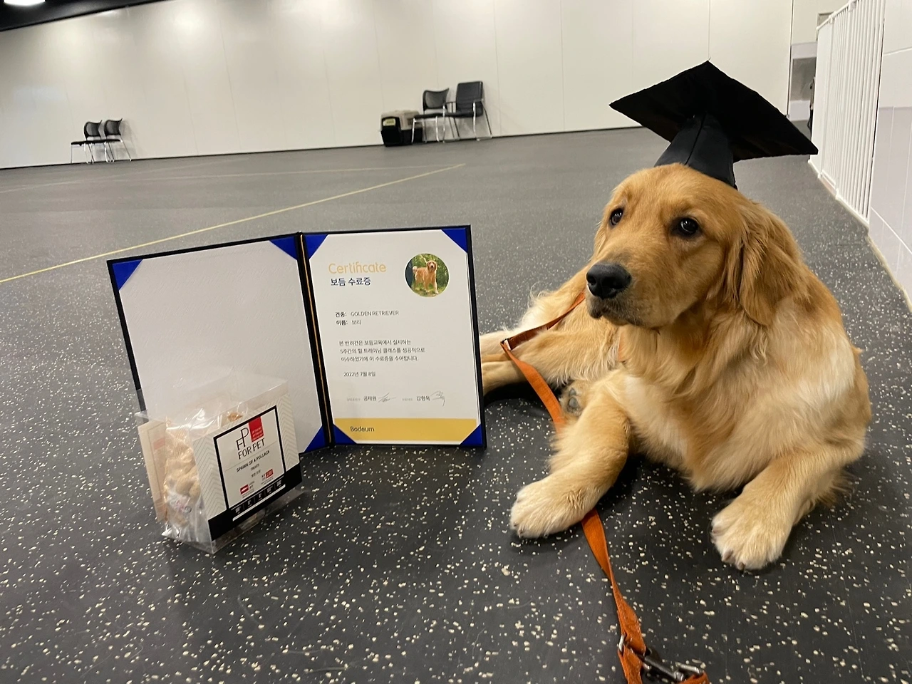 KakaoTalk_Photo_2023-06-19-16-55-07 029.jpeg