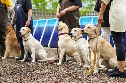 KakaoTalk_Photo_2023-06-19-16-52-46 019.jpeg