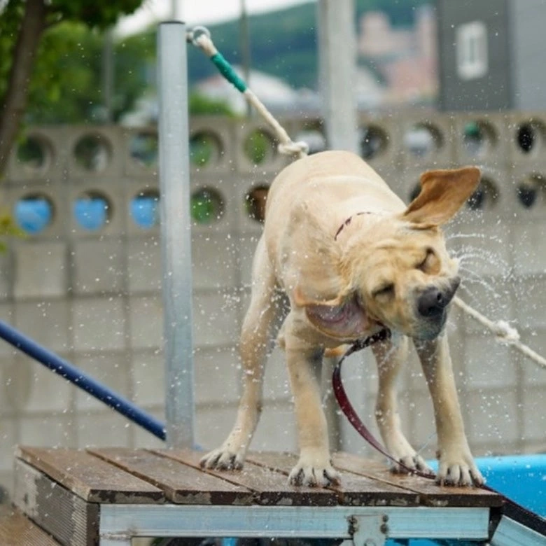 KakaoTalk_Photo_2023-06-19-16-52-46 024.jpeg