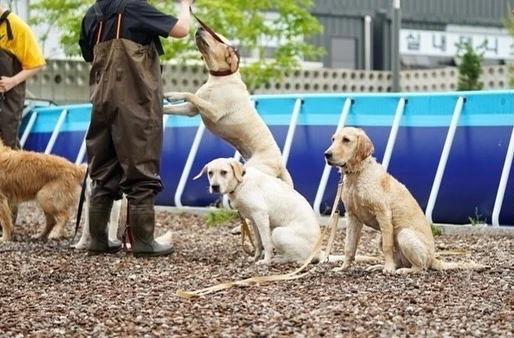 KakaoTalk_Photo_2023-06-19-16-52-46 020.jpeg