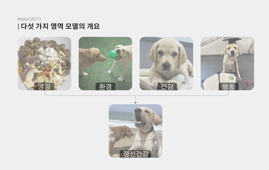 1.%EB%B0%98%EB%A0%A4%EA%B2%AC%ED%96%89%EB%8F%99%EC%8B%AC%EB%A6%AC%ED%95%99_%EB%8C%80%EC%A7%80_1.jpg?type=w1