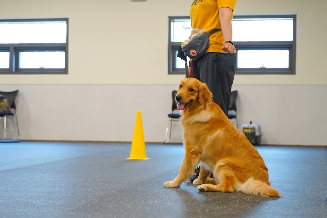 KakaoTalk_Photo_2023-06-19-16-55-04 005.jpeg