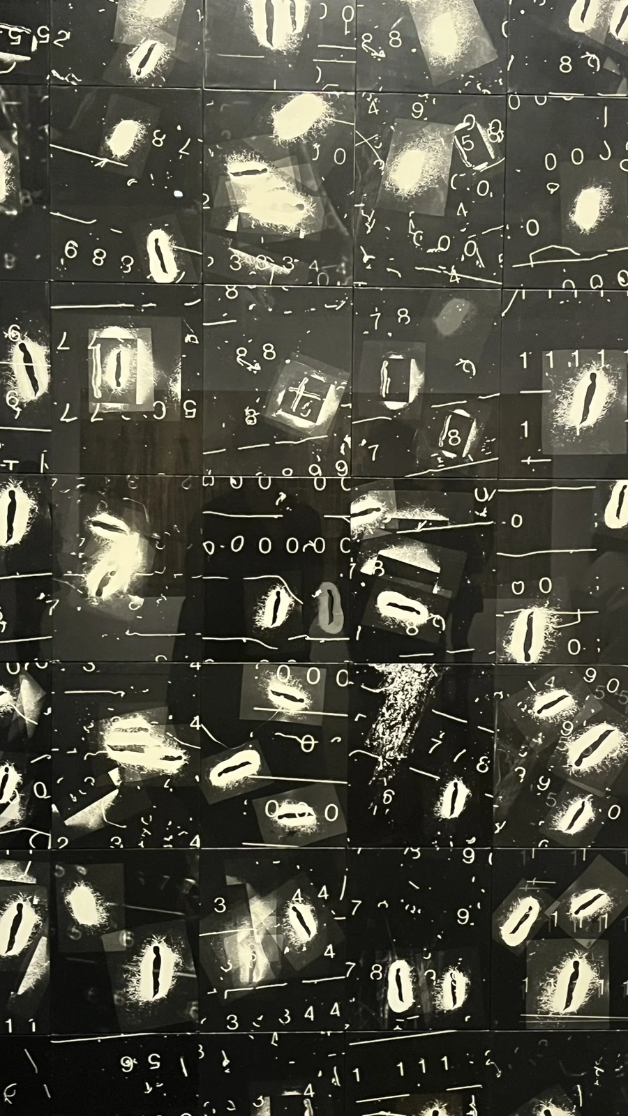 IMG_2637.jpg?type=w1