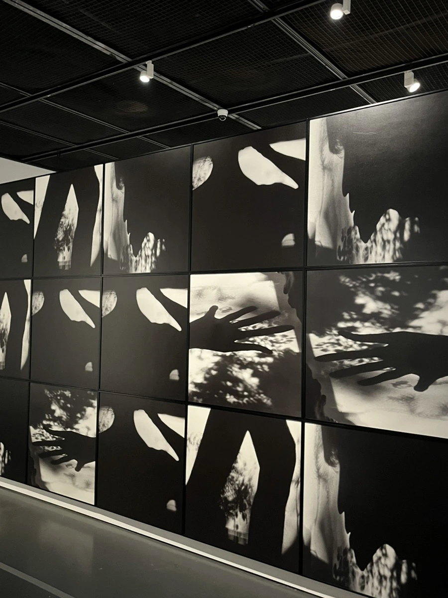 IMG_2609.jpg?type=w1