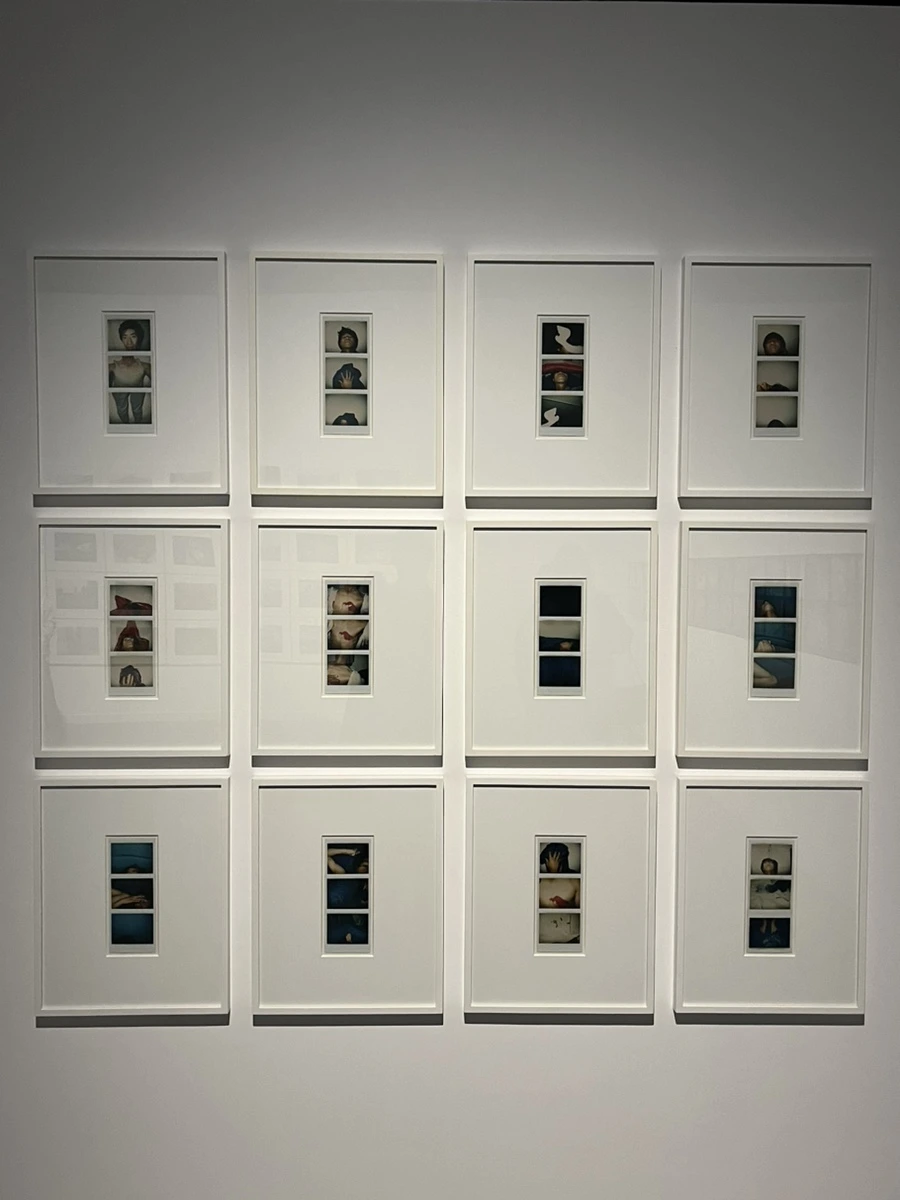 IMG_2626.jpg?type=w1