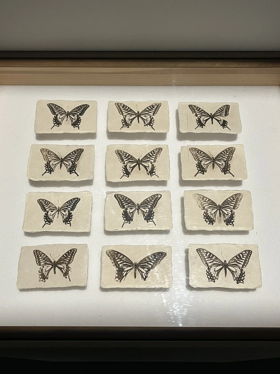 IMG_2644.jpg?type=w1