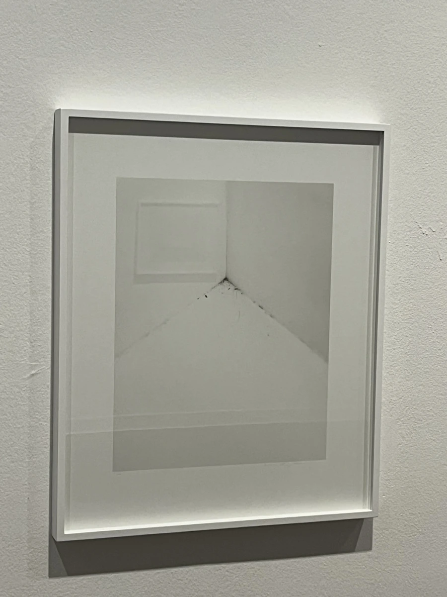 IMG_2677.jpg?type=w1