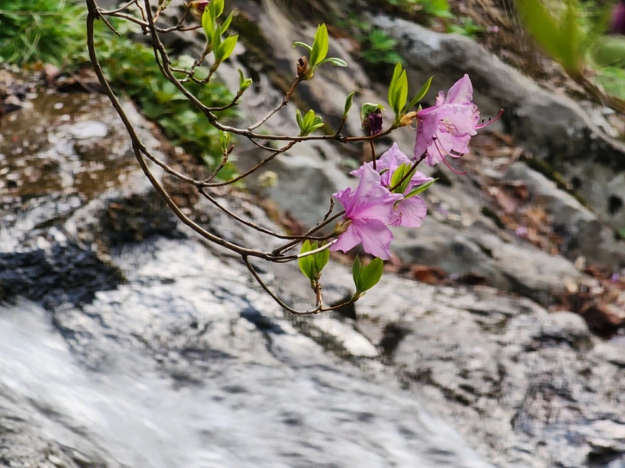 900%EF%BC%BF20250501%EF%BC%BF063015.jpg?type=w1