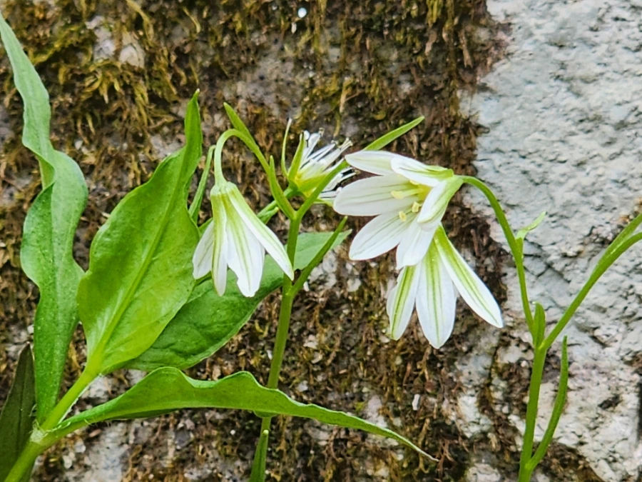 900%EF%BC%BF20250501%EF%BC%BF082804.jpg?type=w1