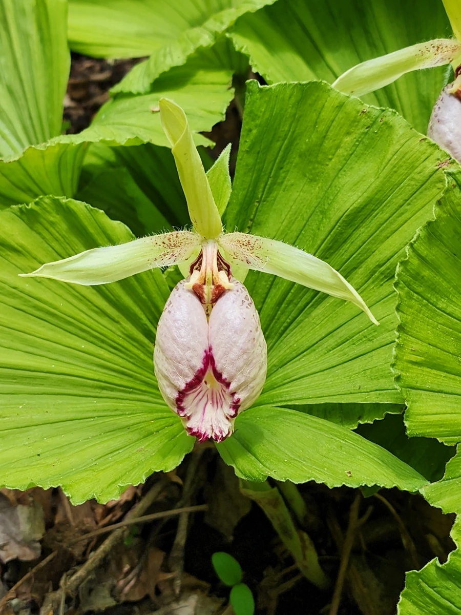 900%EF%BC%BF20250505%EF%BC%BF101838.jpg?type=w1