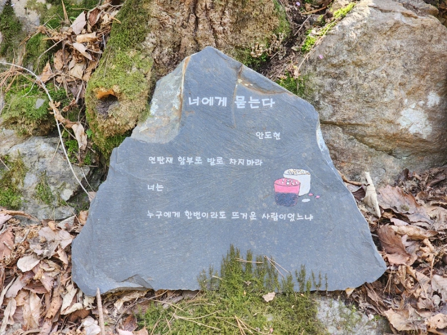 900%EF%BC%BF20250426%EF%BC%BF151302.jpg?type=w1