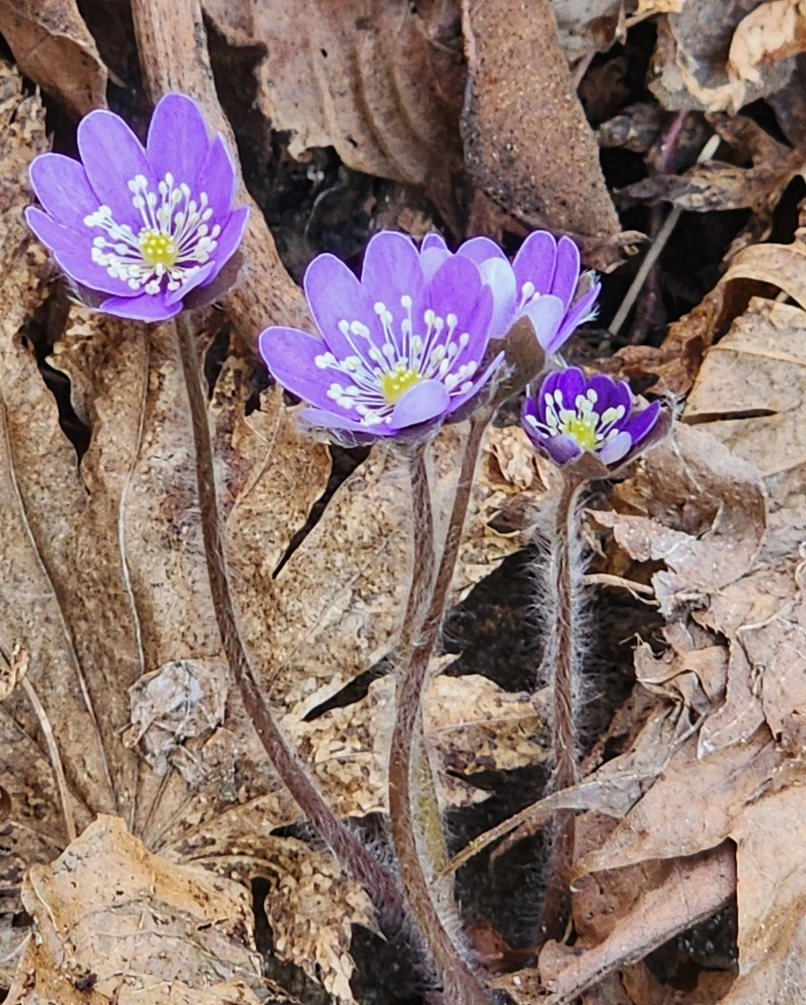 900%EF%BC%BF20250420%EF%BC%BF161504.jpg?type=w1