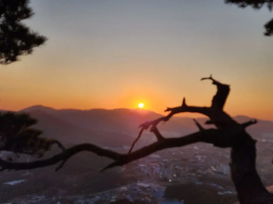 20241122%EF%BC%BF170451.jpg?type=w1