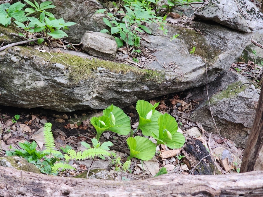 900%EF%BC%BF20250501%EF%BC%BF061833.jpg?type=w1