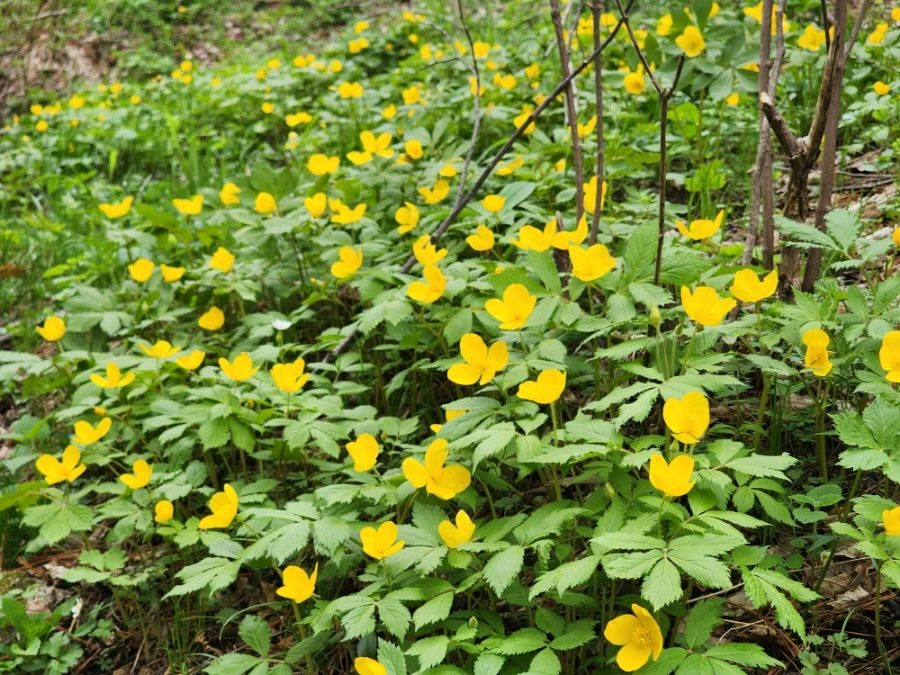 900%EF%BC%BF20250501%EF%BC%BF080705.jpg?type=w1