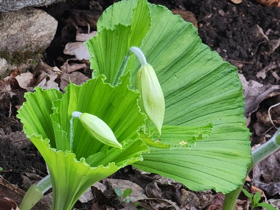 900%EF%BC%BF20250501%EF%BC%BF061906.jpg?type=w1