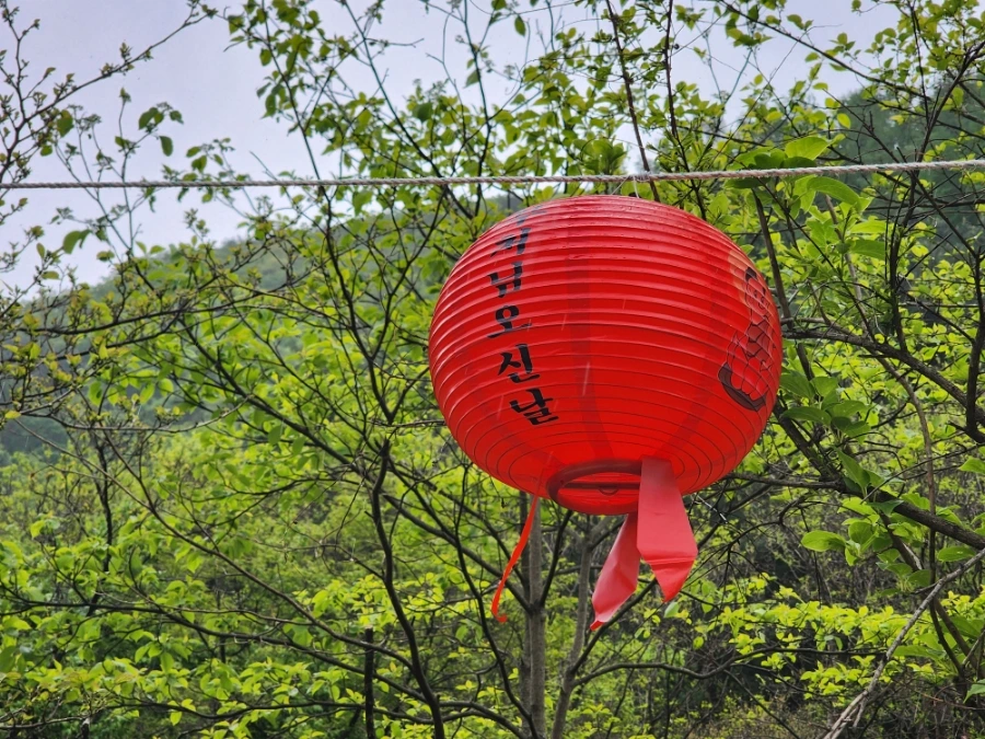 900%EF%BC%BF20250505%EF%BC%BF133309.jpg?type=w1